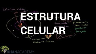 Estrutura Celular  Biologia  Khan Academy [upl. by Ydor]