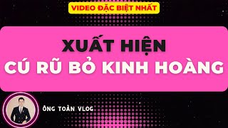 🔴 Chứng khoán hôm nay  Nhận định thị trường  Xuất hiện CÚ RŨ BỎ [upl. by Pages]