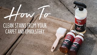 How to Clean Stains from your Carpet amp Upholstery  Shine Supply Products [upl. by Jestude879]