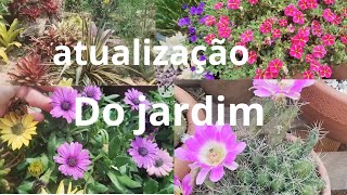 plantas novas para o Jardim mais atualização [upl. by Celia]