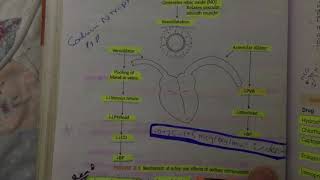 mechanism of action of sodium nitroprusside in hypertension [upl. by Rance]