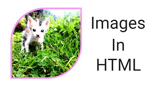 How to Insert Image in HTML using Notepad Step By Step [upl. by Ttelrahc]