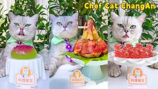 Chef Cat’s NEW FOOD Recipes Are Full Of Surprises😻Cat Cooking FoodCute And Funny Cat [upl. by Sacksen]