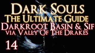 DARK SOULS  THE ULTIMATE GUIDE PART 14  DARKROOT BASIN  SIF VIA VALLEY OF THE DRAKES [upl. by Hildagard]