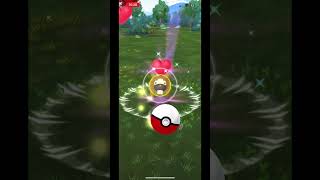 Catching bidoof [upl. by Petronille]