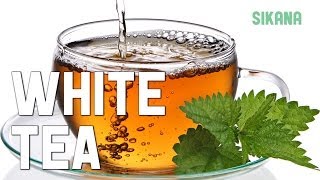 Learn how to brew tea properly White tea [upl. by Gnoz]