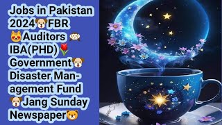 Jobs in Pakistan 2024 FBR Auditors IBAGovernmentDisaster Management FundJang Sunday Newspaper [upl. by Brande559]