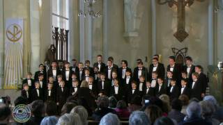 Lacrimosa  Mozart requiem  organ  Moscow Boys Choir DEBUT [upl. by Yclek598]