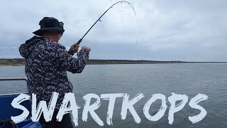 catching grunter and a juvenile eagle ray at swartkops river eastern cape [upl. by Maire]