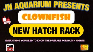 Clownfish Hatch Rack And Hatch Preparations Everything You Need To Know [upl. by Nyrok893]