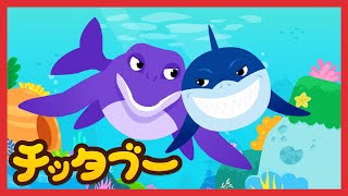 メガロドン vs モササウルスMegalodon vs Mosasaurus  最強の海のハンターはどっちだ？  海の恐竜の歌  キッズソング  子どもの歌  チッタブー [upl. by Hagar76]