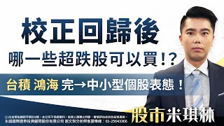 校正回歸後 哪一些超跌股可以買！？台積、鴻海完→中小型個股表態！｜股市米琪林 謝文琪 分析師｜20240807 [upl. by Aridni]