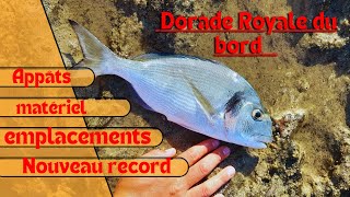 Une pêche INCROYABLE de la DORADE ROYALE 4K [upl. by Hadeis]