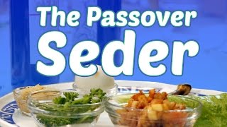 The Passover Seder What to Expect [upl. by Bealle]