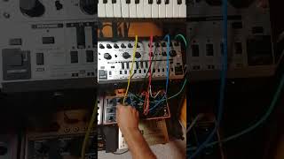 behringer Crave amp Td3mo patching test [upl. by Sillyhp]