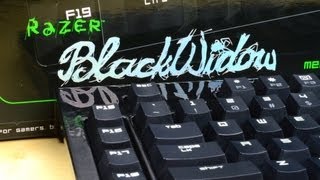 Review Razer BlackWidow [upl. by Blinny]