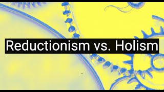 Reductionism vs Holism Battle of Philosophical Methodologies [upl. by Ellett]