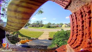 Vivint Doorbell Camera Captures a Snake Slithering on The Front Door  Doorbell Camera Video [upl. by Neiv]