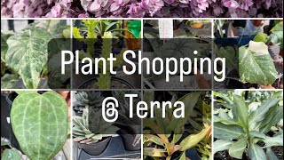 Plant Shopping  Terra Philodendron Hoya succulents amp more houseplants [upl. by Ettebab]