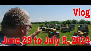 ⏱ Vlog June 29 to July 5That Bee Man [upl. by Martynne]