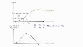 Introduction to Production Introduction Average Product Marginal Product Total Product [upl. by Brink730]