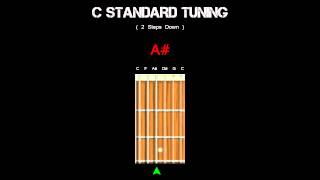 Guitar Tuning  C Standard  2 Steps Down [upl. by Hanna309]