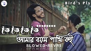 তৈ তৈ তৈ তৈ আমার বয়ম পাখি কইToi Toi ToiAmar Boyam Pakhi Koi Tiktok Trending SongBirds Ply 2023 [upl. by Eibor73]