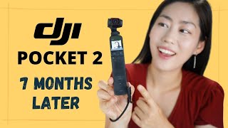 DJI POCKET 2 Long Term Review  7 Month Later [upl. by Nylloh]