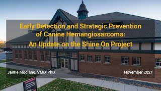 Early Detection and Strategic Prevention of Canine Hemangiosarcoma [upl. by Arvad683]