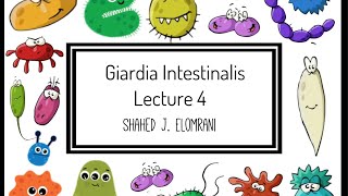 5 Giardia Intestinalis [upl. by Nyliahs]