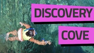 DISCOVERY COVE  PASSEANDO  VPD PLAY [upl. by Eaned]