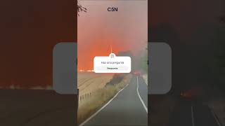 Encendios forestales en Chile  videos apocalípticas  más de 100 muertos  calcinados [upl. by Cahra]