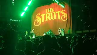 The Struts  Primadonna Like Me Tonight  live Winnipeg April 2024 [upl. by Stanhope]