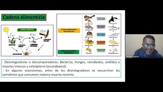 Capítulo 17 Ecología I Ecosistema Bioma Desequilibrio ecol Restauración de ecosis de Biología [upl. by Lamrert]