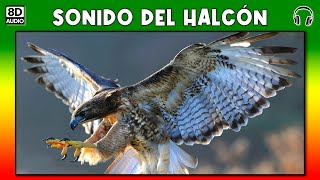 SONIDO DEL HALCON 🦅 [upl. by Landan885]