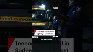 Teenager stabbed in Campsie Sydney [upl. by Evannia]