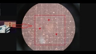 Hemocytometer  Counting of cells  Amrita University [upl. by Hesky]