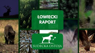 ŁOWIECKI RAPORT  SUDECKA OSTOJA 28 [upl. by Tooley]