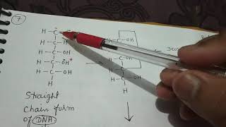 Structure of Pentose sugar Part1 of Lecture 4 of chap6 [upl. by Woodsum385]