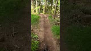 best part of roots bikepark lacblanc lacblanc shorts youtubeshorts mtb [upl. by Keil]