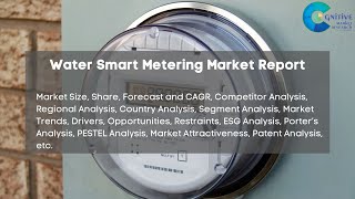 Water Smart Metering Market Report 2024  Forecast Market Size Growth Trends [upl. by Einahpet]