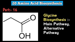 Glycine Biosynthesis  Amino Acid Biosynthesis  Microbial Metabolism  Microbiology In Marathi [upl. by Shay]