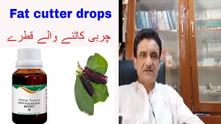 Benefits of phytolacca berry schwabe germany by Dr Asad Naqvi [upl. by Eecram]