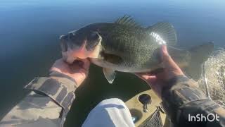 Oneil forebay striper and bass fishing [upl. by Kavanagh]