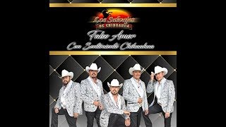 Los Salvajes de Chihuahua  Paloma Errante Feat Conjunto Río Grande 🕊 2018 [upl. by Lesli]