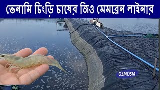 Vannamei Shrimp Farming By Pond Liner in BD জিও মেমব্রেন লাইনার চিংড়ি হ্যাচারির নার্সিং পুকুর [upl. by Goda189]