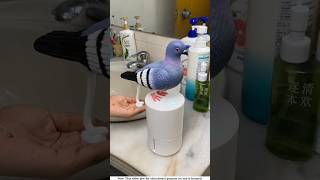 The cream inside my ismart pigeon।🕊️shortvideo amazingfacts [upl. by Whitebook]