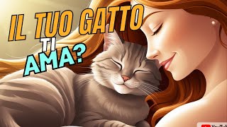 Affetto Felino Perché i Gatti Strofinano il Muso su di Te 😻 gatto amore amicizia [upl. by Lisha863]