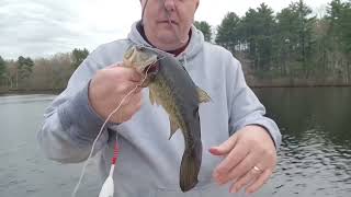 Early Spring Fishing for Warmwater and Coldwater Fish Trout  Bass [upl. by Virgel]