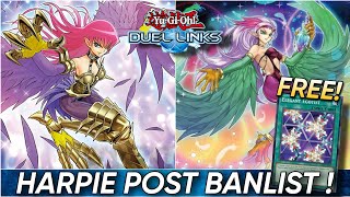 Harpie Deck Post Banlist   Egotist is FREE  YuGiOh Duel Links [upl. by Arihas246]